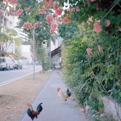 竞彩足球app官方下载安装手机版