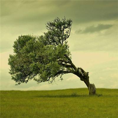 乐鱼app官方下载入口