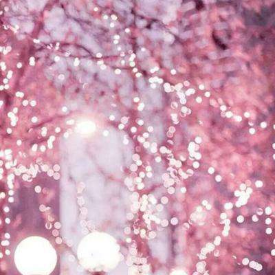 乐鱼app官方下载入口